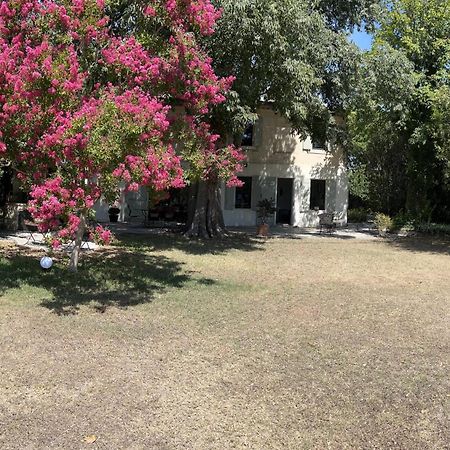Alpilles Camargue Mas Falabrego Raphele Luaran gambar
