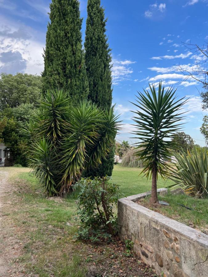Alpilles Camargue Mas Falabrego Raphele Luaran gambar
