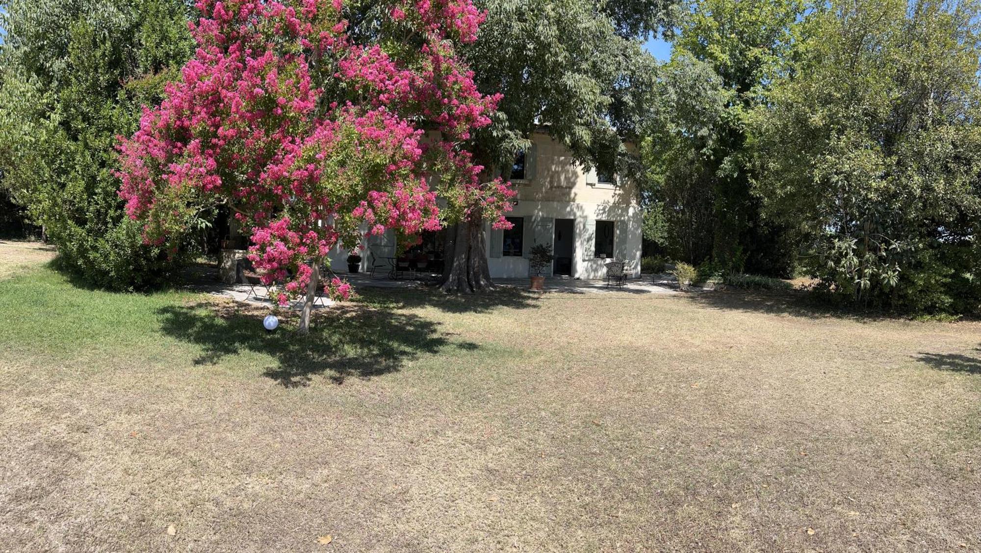 Alpilles Camargue Mas Falabrego Raphele Luaran gambar